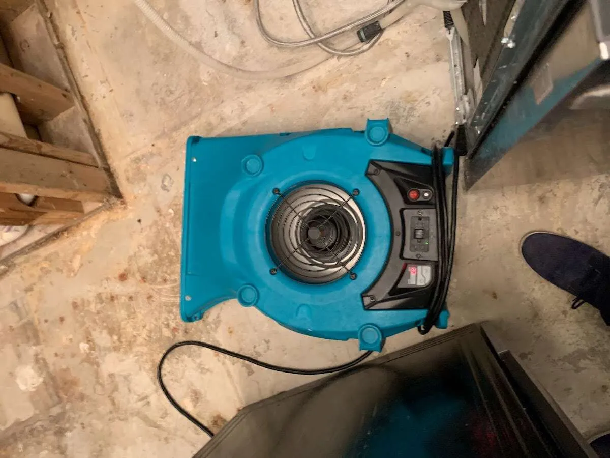 Air mover drying equipment for Mold Remediation & Removal in Rockford